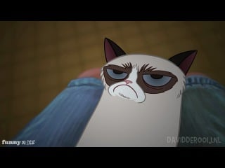 Tard the grumpy cat cartoon