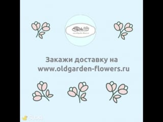Цветочный интернет бутик во владимире old garden flowers