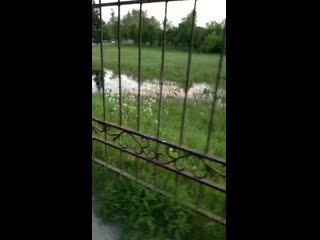 Video 20200611 210111 mp4