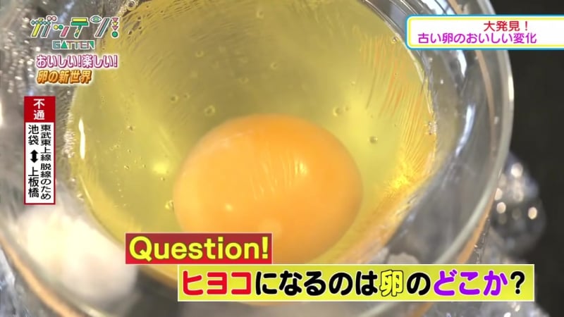 Пока русские выращивают гомункулов японские школьницы выращивают цыплят без скорлупы