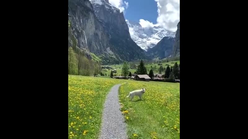 Швейцарские альпы