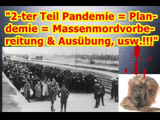 "2 ter teil pandemie = plandemie = massenmordvorbereitung & ausübung, usw !!!"