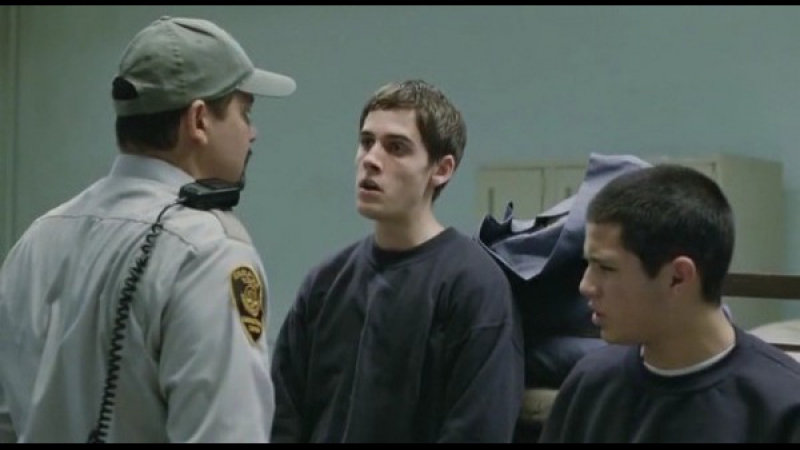 Dog pound/загон для молодые/2010/