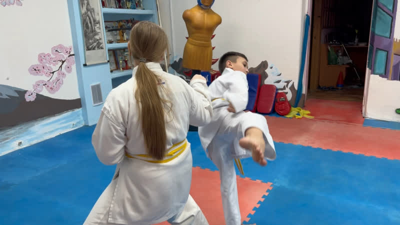 Самый красивый удар в каратэ, техника ласточки