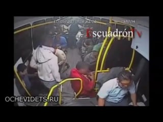 Невозмутимый водитель