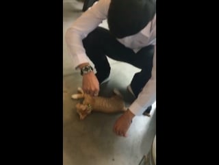 Сингто в ig stories janewit jane