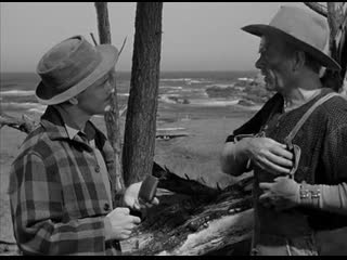 Johnny belinda (1948)