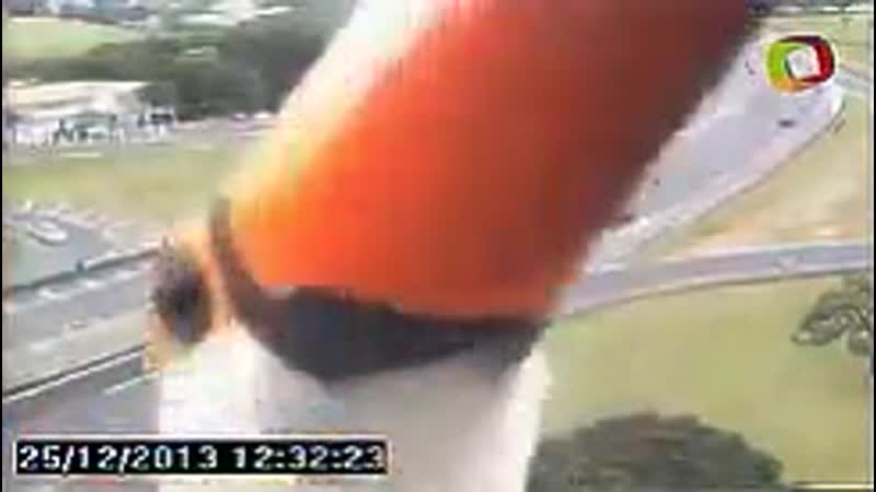 Тукан заинтересовался камерой