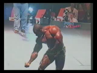 Vince taylor fibo 98