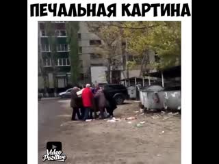 Как коршуны налетели 😬