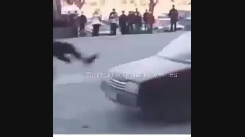 Быстро сработали