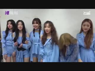 Дурашки милашки