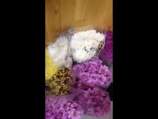 Angel flowers almaty шикарный ассортимент