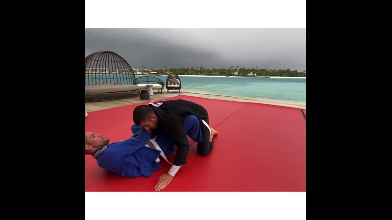 Rener gracie vs ryron gracie (in paradise) rener gracie vs ryron gracie (in paradise)