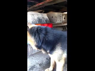 V 20190319 164920 vhdr on n0 mp4