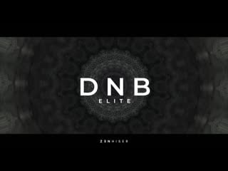 Dnb elite by zenhiser 1,200 insane dnb samples at your fingertips!