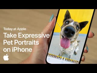 Take expressive pet portraits on iphone with sophie gamand
