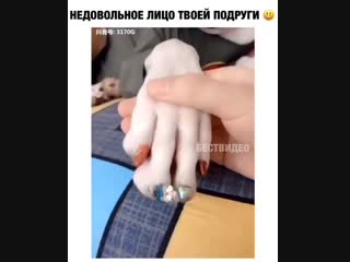 Недовольное лицо твоей подруги (720p) mp4