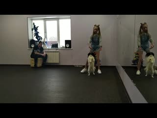 Видео от dogdance&educational training&handling