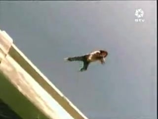 Alma pirata allegra y benicio