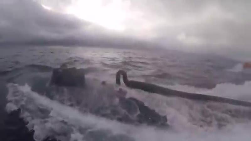 Подлодку с кокаином перехватили в тихом океане