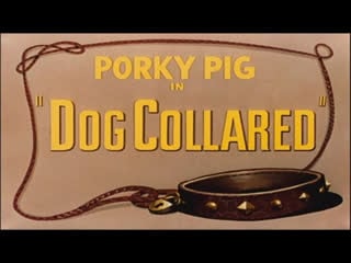 Porky pig in "dog collared", 1950, full cartoon