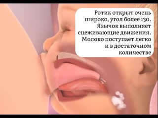 Сосание груди и бутылки/соски