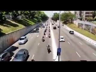 Insanosmc div formiga 20201129 0001 mp4