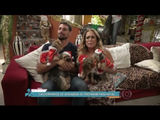 Susana vieira mostra os cachorros de adisabeba