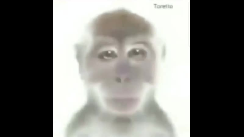 إذا كانت الأجنبية ما بعد السخرية سوف تستجيب لهذا التعليق سوف أكل روبل