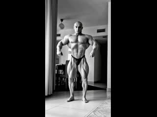 Radoslav angelov 4 weeks out from mr olympia 2022