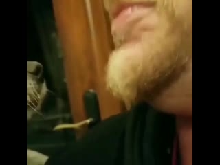 Летняя кафешка