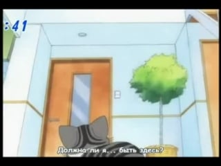 Милый дом чии (chi's sweet home) 2 новый дом 012(116)