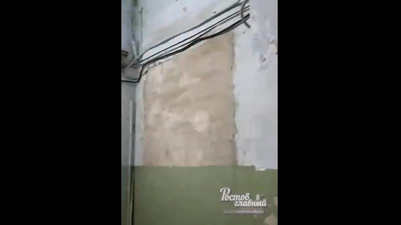 Студентка из луганска приехала на практику в медицинский университет в ростове на дону