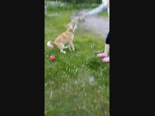 Vid 20170702 214704 mp4