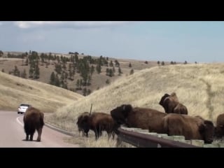 Usa индейцы племени лакота, резервация пайн ридж native americans lakota sioux pine ridge