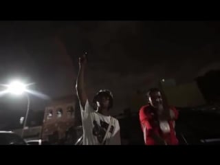 Zilla x mula