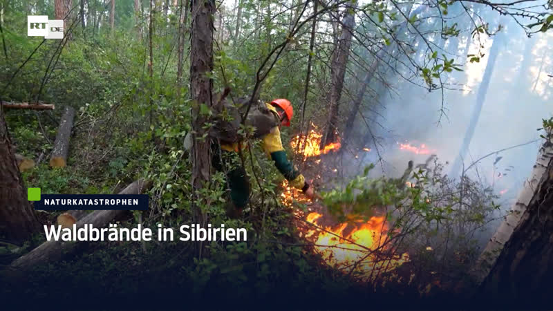 Waldbrände in sibirien