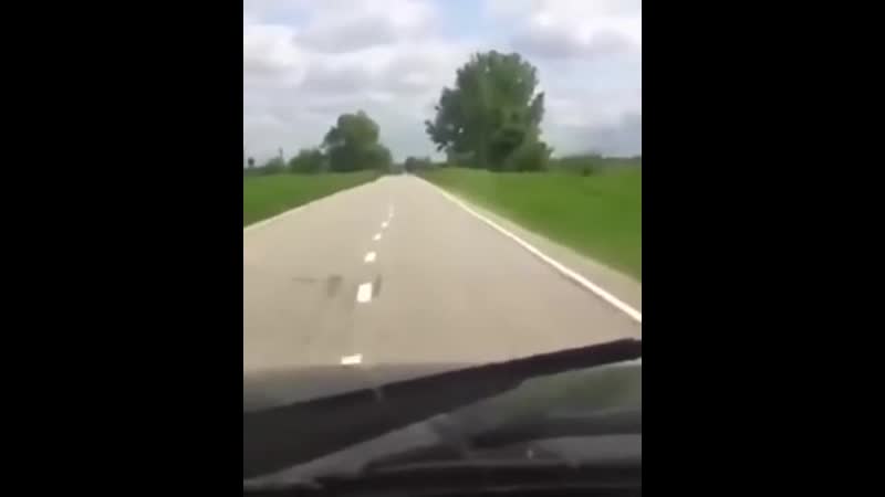 Разметка для пьяных водителей