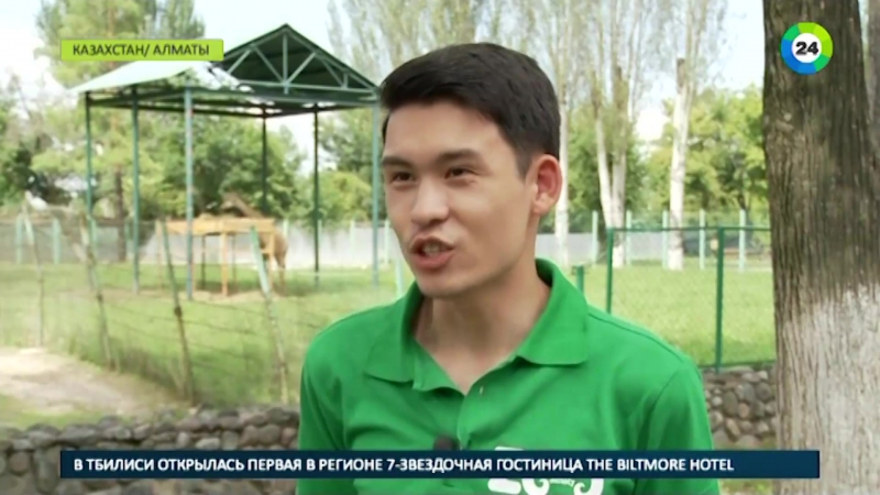 Пятнистое пополнение в зоопарке алматы родился детеныш жирафа