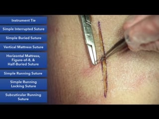 Duke suture skills course learn best suture techniques