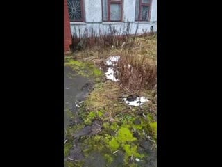 Vid 20201029 083505 mp4