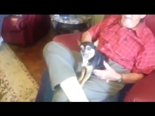 50% страха 50% злости