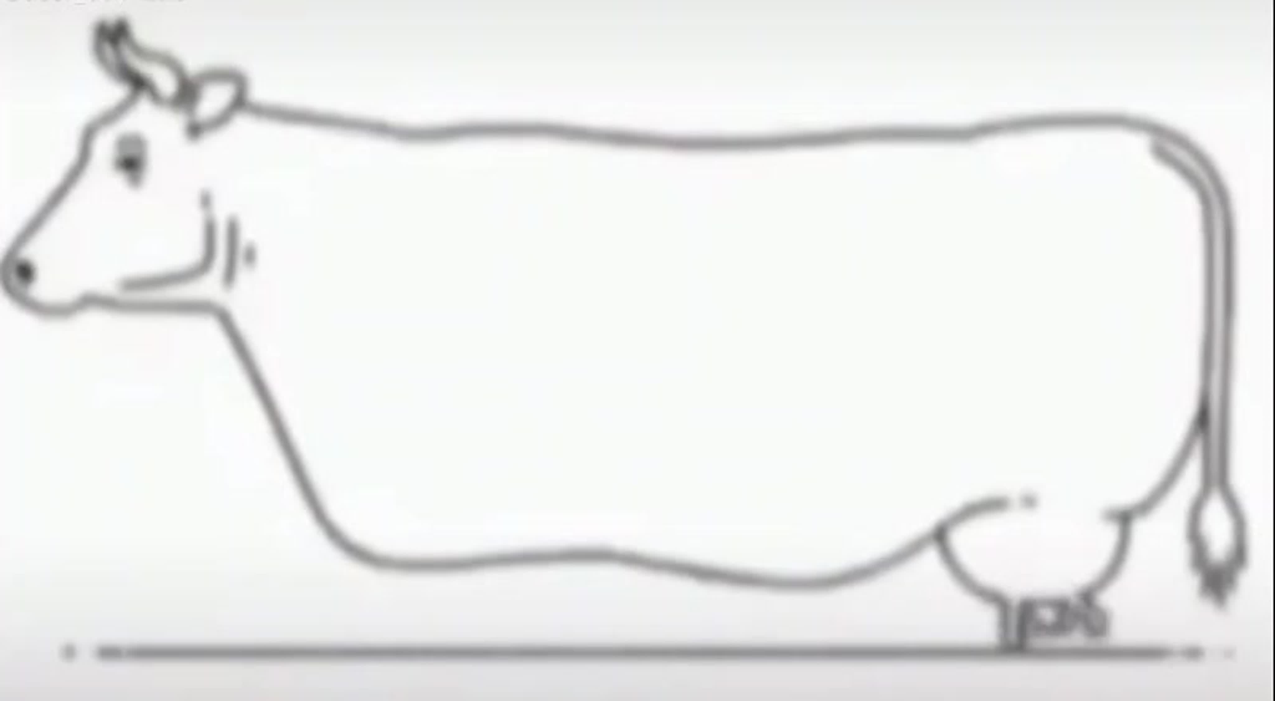 Reddit