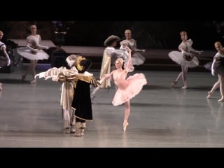 Оксана скорик rose adagio