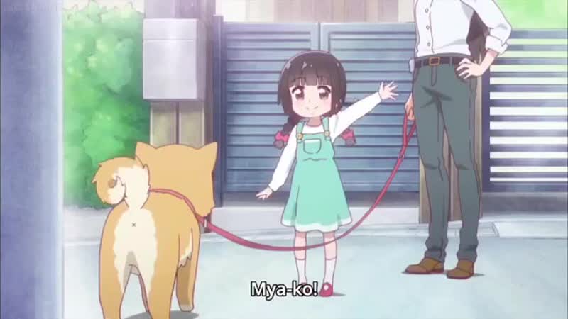 Ангел спустился ко мне! / watashi ni tenshi ga maiorita! animewebm