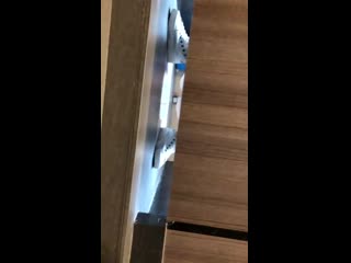 Twitter 20200713 000729 mp4