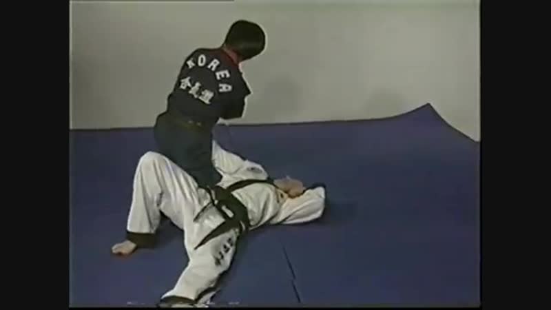 Kim seong tae – hapkido hoi jeon moo sool vol 1 (budo international) (dvd)