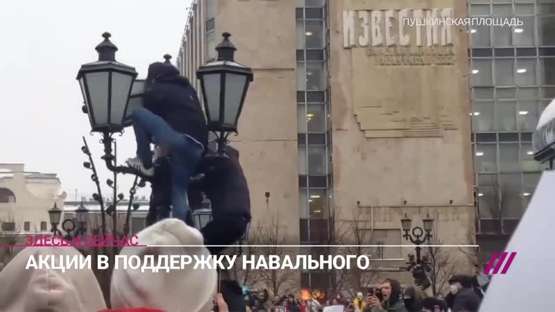 Пушкинская протестующего сняли со столба