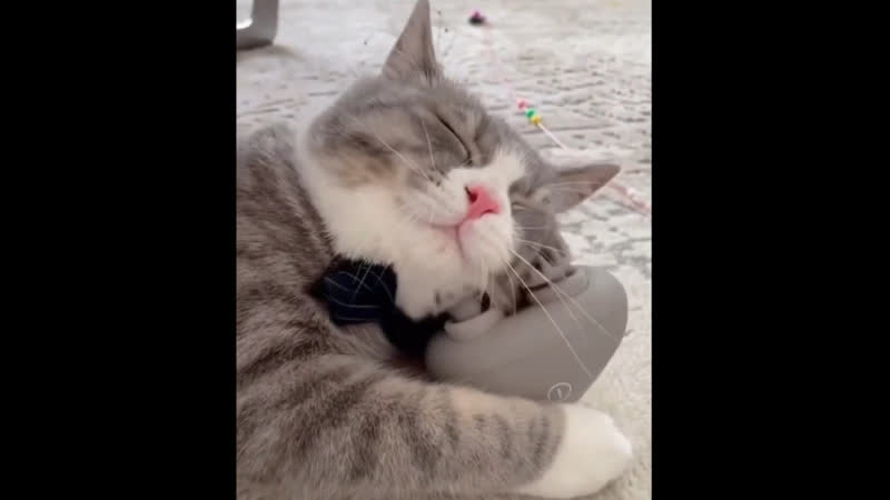 Отличное приспособление😂